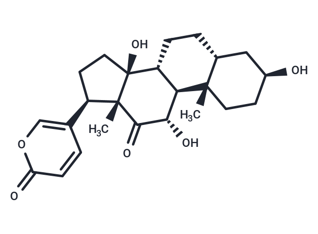 沙蟾毒精|T5A2455|TargetMol