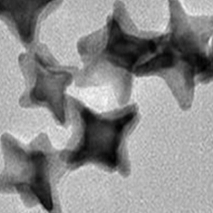 Water-Soluble Gold Nanostars，水溶性金纳米星