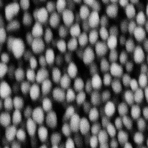 Water-Soluble Gold-Silver Nanorods，水溶性金银纳米梭子