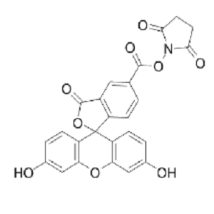 92557-80-7，FITC-NHS，异硫氰酸荧光素琥珀酰亚胺酯