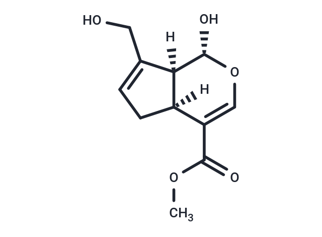 京尼平|T2210|TargetMol