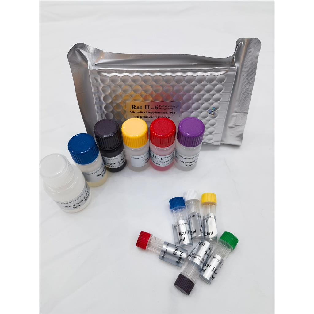 人膜联蛋白-V(Anxa V)ELISA试剂盒