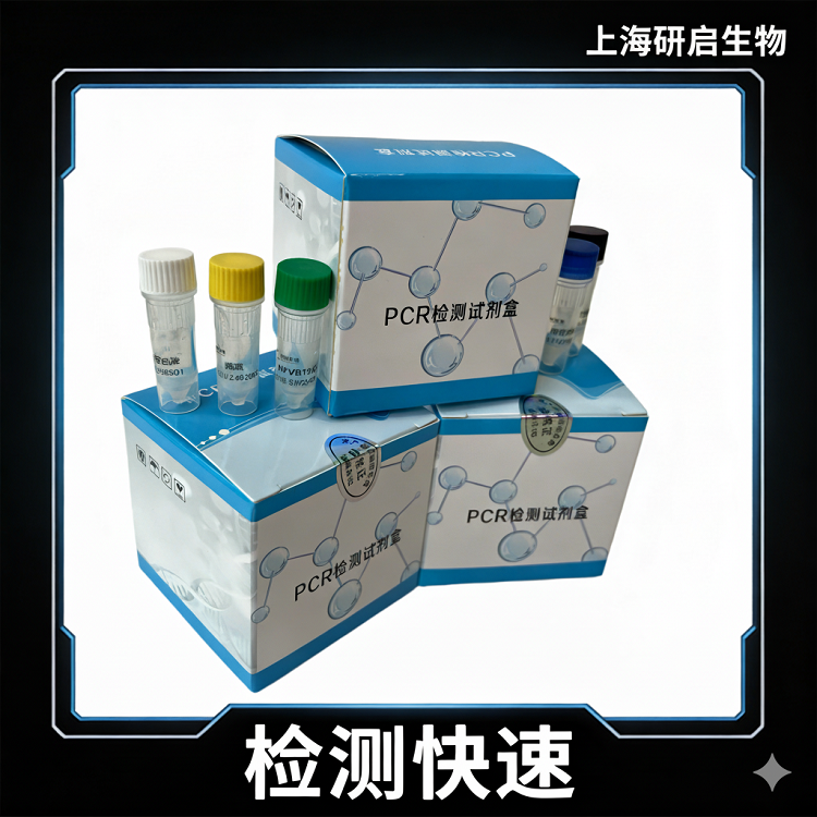 禽流感通用/H9亚型（AIV-U/AIV-H9）核酸检测试剂盒 (双重荧光-PCR法)