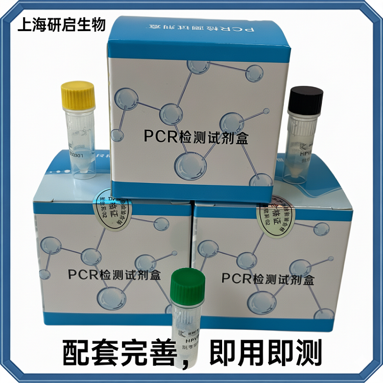 小反刍兽疫通用型/疫苗株/野毒株（PPR-U/ PPR-V/ PPR-W）核酸检测试剂盒（三重荧光-PCR法）