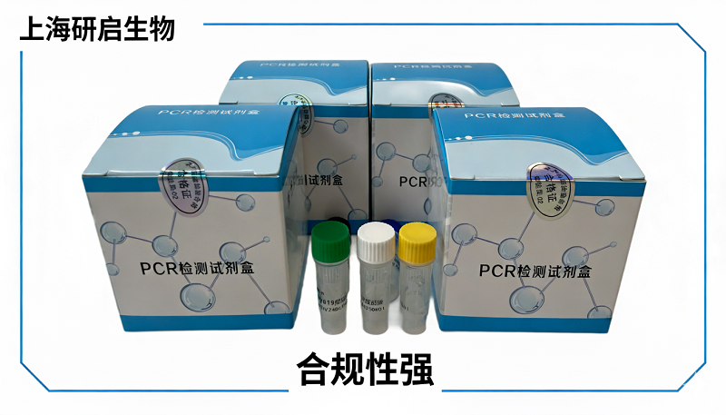 猪瘟病毒/高致病性猪蓝耳病毒/口蹄疫病毒通用型（CSFV/PRRSV-M/FMDV-U）核酸检测试剂盒 (三重荧光-PCR法)