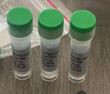 生长激素及其释放因子Growth Hormone & Gro