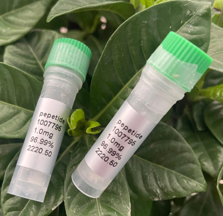 生长激素及其释放因子Growth Hormone & Gro