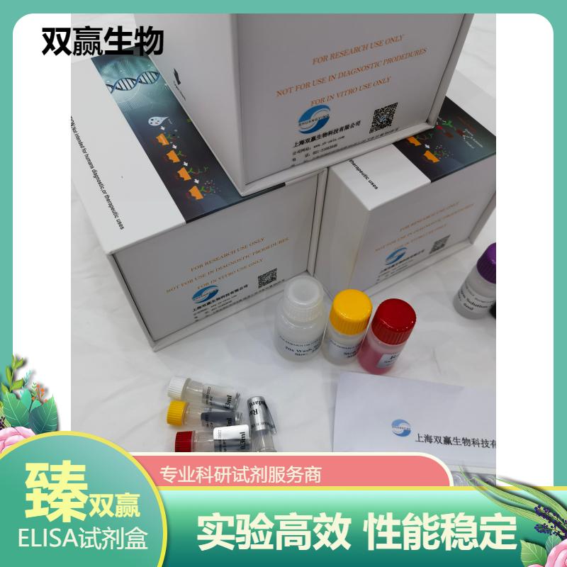 人γ氨基丁酸A型受体(GABAAR)ELISA试剂盒