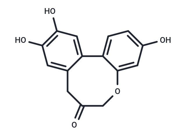 原苏木素A|TJS1779|TargetMol
