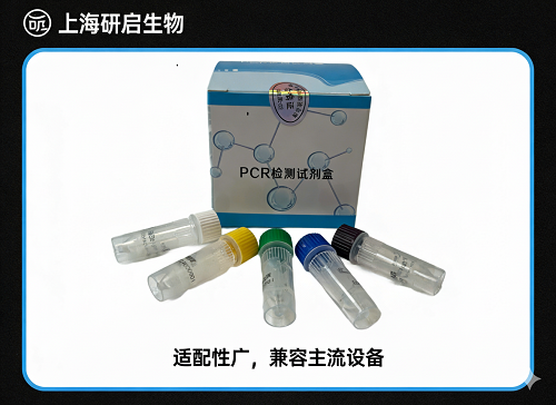 猪链球菌2型/副猪嗜血杆菌/传染性胸膜肺炎放线杆菌（SS-2/HPS/APP）核酸检测试剂盒(三重荧光-PCR法)
