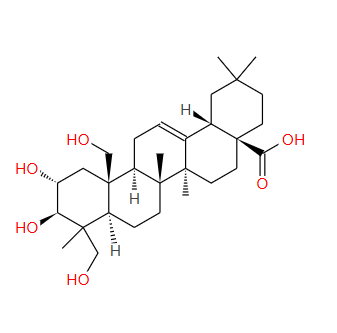 58880-25-4；阿江榄仁素；arjungenin