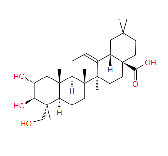 465-00-9；阿江榄仁酸；Arjunolic acid