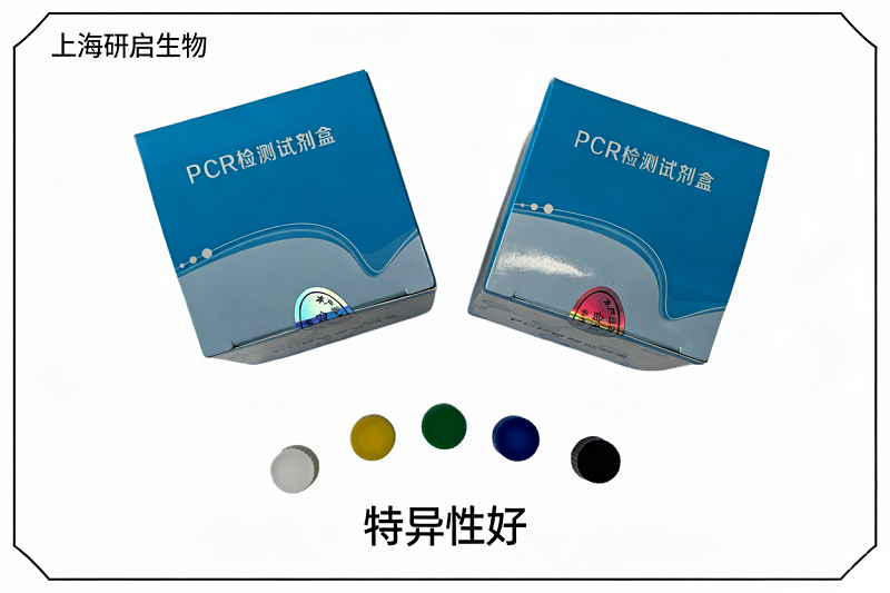 转基因大米Bt（cryAb）核酸检测试剂盒