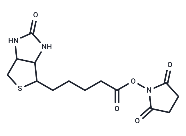 (+)生物素-N-琥珀酰亚胺基酯|T14579|TargetMol