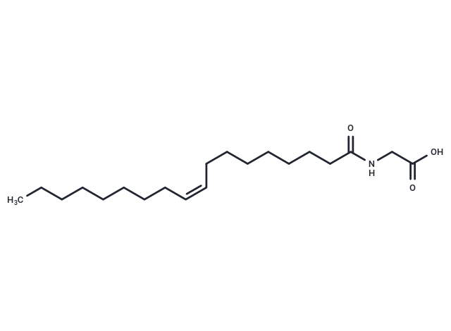 化合物N-Oleoyl glycine|T13803|TargetMol