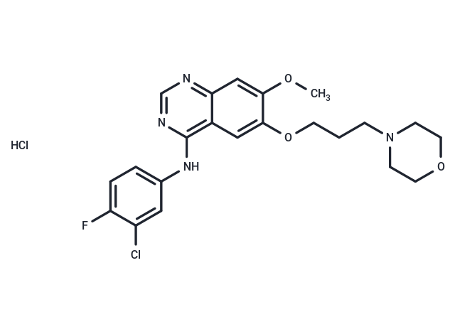 化合物 Gefitinib hydrochloride|T1181L|TargetMol