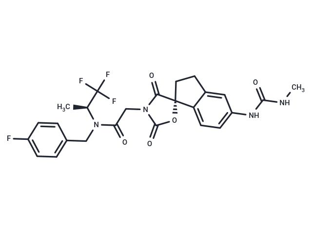 化合物 A-485|T14073|TargetMol