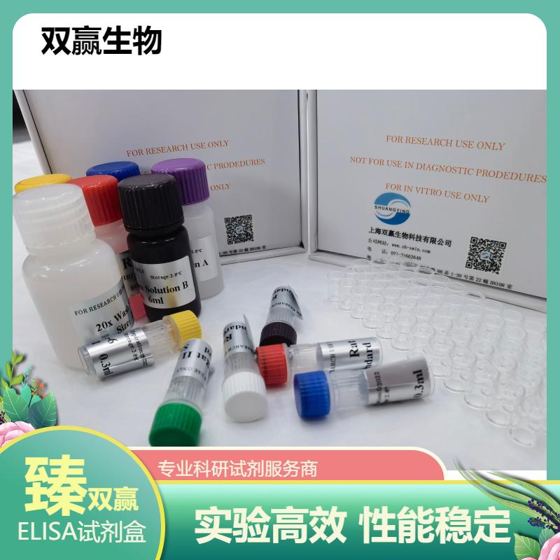 人膜联蛋白-A2IgG抗体(Anxa2-IgG)ELISA试剂盒