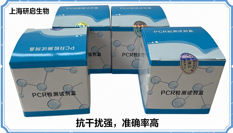 绵羊CYTB基因核酸检测试剂盒