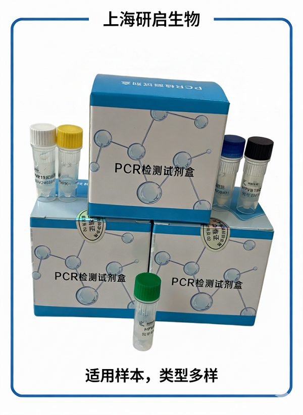 山羊CYTB基因核酸检测试剂盒