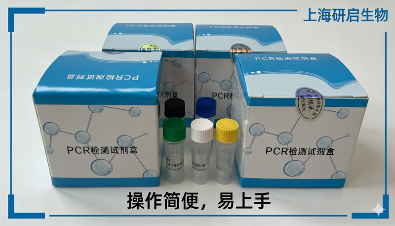 山羊CYTB基因核酸检测试剂盒