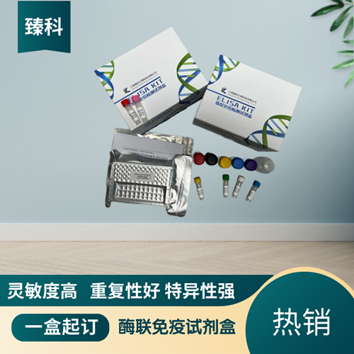 大鼠黄素腺嘌呤二核苷酸(FAD）elisa试剂盒