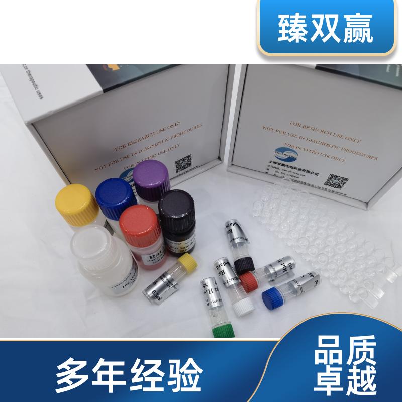 人PPP1Ca(PPP1Ca)ELISA试剂盒