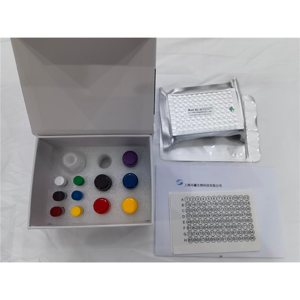 人甲胺喋呤抗体(MTX Ab)ELISA试剂盒