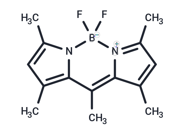 化合物BODIPY 493/503|T36957|TargetMol