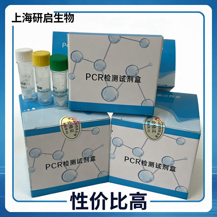 肉毒杆菌B型（CB-B）核酸检测试剂盒