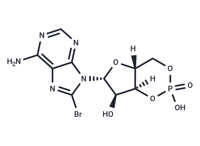 8-bromo-Cyclic AMP|T35424|TargetMol