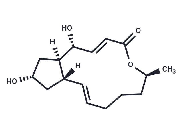 布雷非德菌素 A|T6062