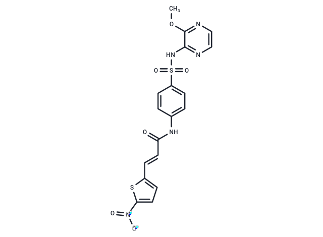 化合物 (E)-Necrosulfonamide|T6904|TargetMol