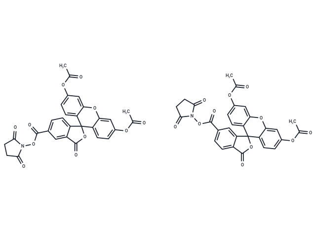 5(6)-羧基二乙酸荧光素琥珀酰亚胺酯|T6802