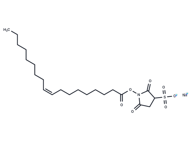 化合物 Sulfosuccinimidyl oleate sodium|T13036L|TargetMol
