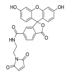 6-羧基荧光素-马来酰亚胺，6-FAM?Maleimide，6-FAM-Mal