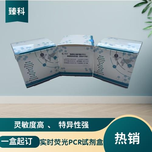 新PCR1-18.jpg 新PCR1-18.jpg