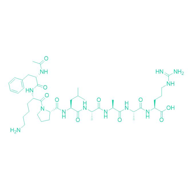 220P319 BM213 2891606-02-1.png