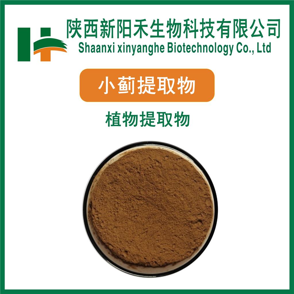 小蓟提取物   