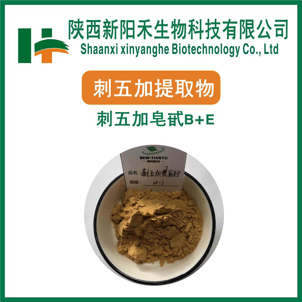 刺五加提取物    刺五加皂苷B+E