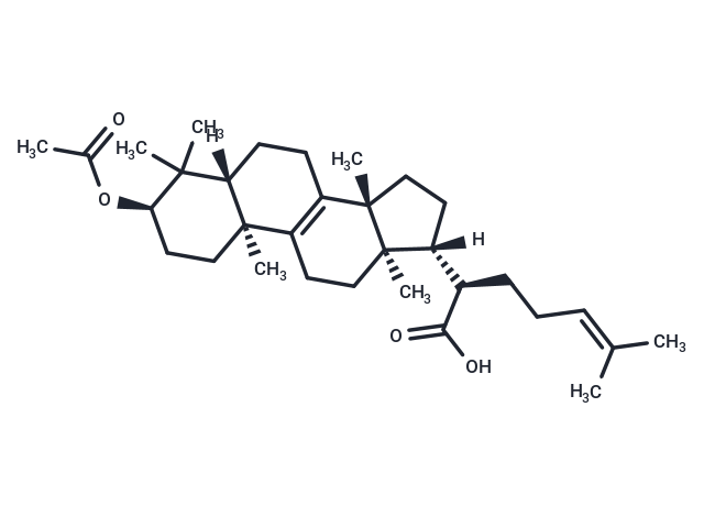 3-Α-乙酰氧基-羊毛甾-8,24-二烯-21-酸|TN2286|TargetMol