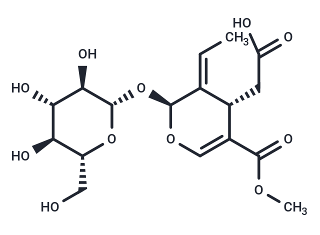 木樨榄苷-11-甲酯|TN4562|TargetMol