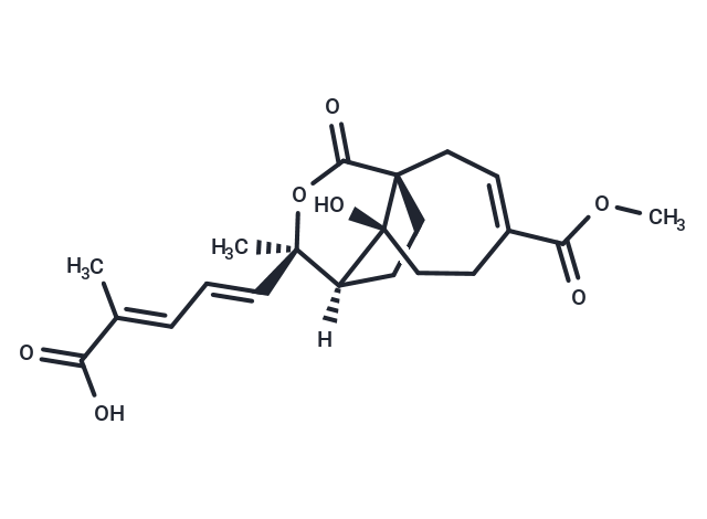 土荆皮丙酸|T7029|TargetMol