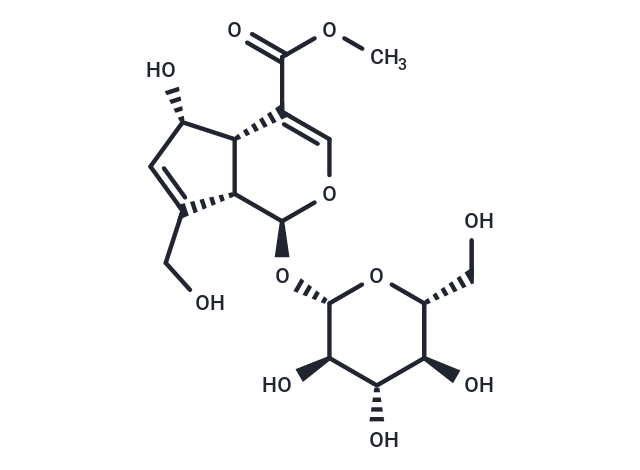 去乙酰车叶草苷酸甲酯|T5735|TargetMol