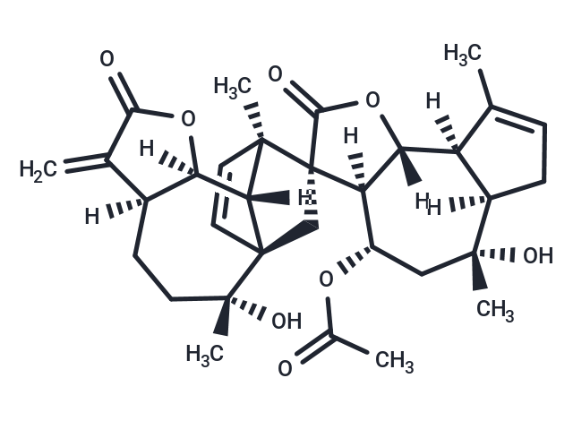 野菊花内酯|TN1131|TargetMol