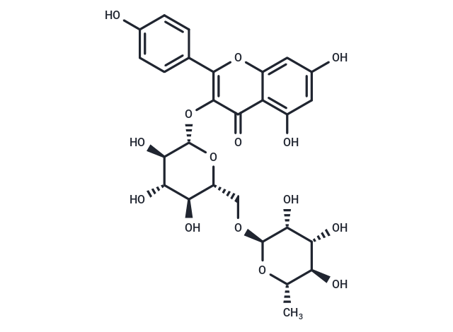 山奈酚-3-O-芸香糖苷|T6S1294
