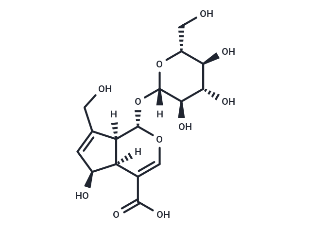 去乙酰车叶草苷酸|T8280|TargetMol