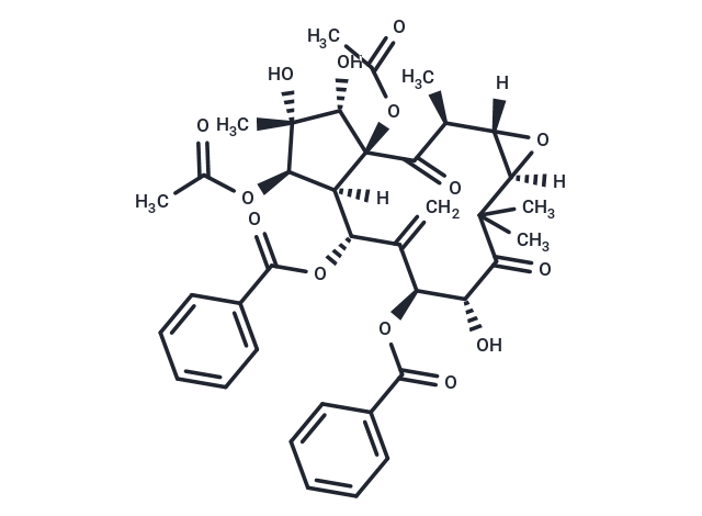 甘遂萜酯B|T40660|TargetMol