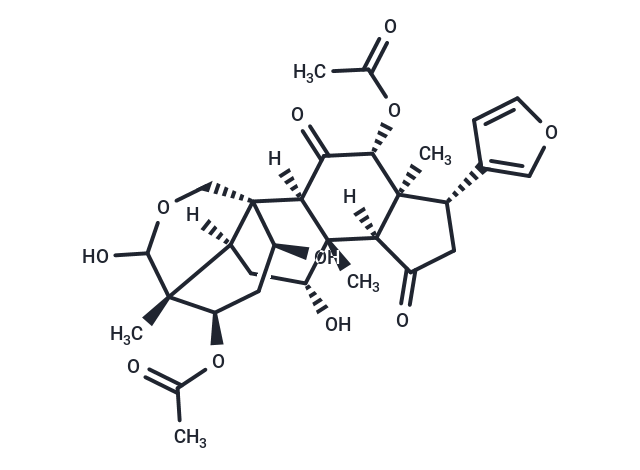异川楝素|TN6989|TargetMol