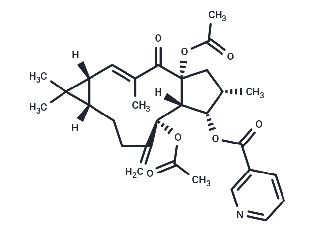 大戟因子L8|TN1635|TargetMol